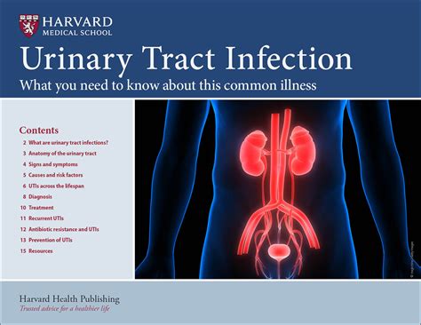 sore uei|Urinary tract infection (UTI)